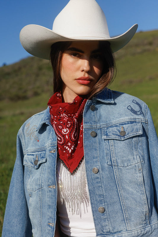 Abby Ann Rhinestone Fringe Bandana Necklace